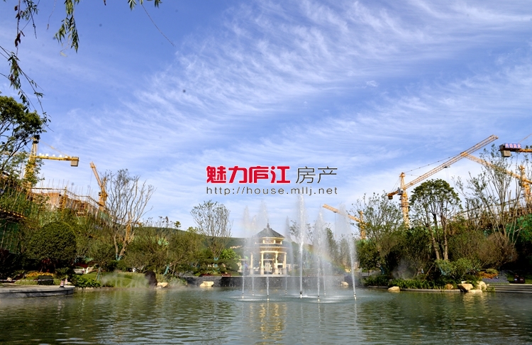 魅力庐江网实拍