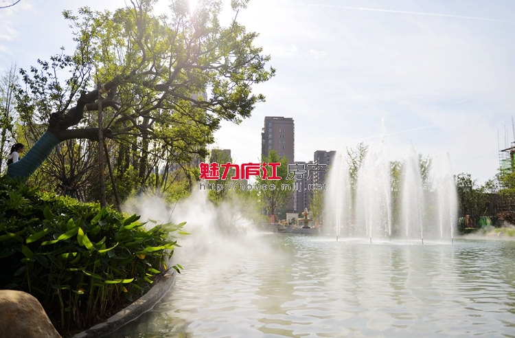 魅力庐江网实拍