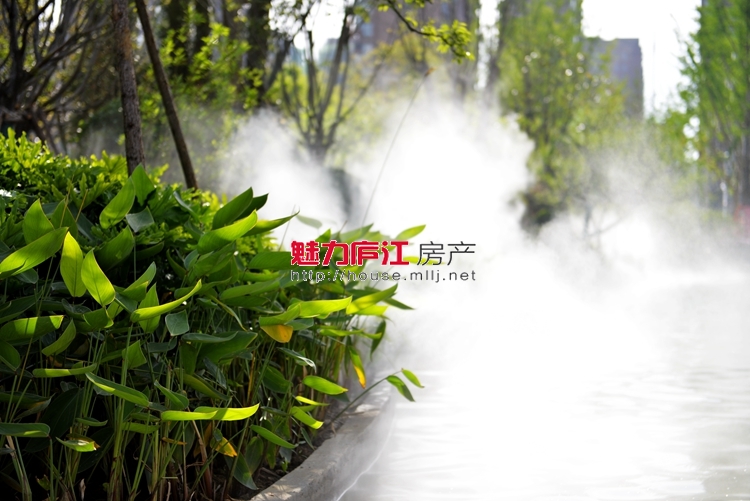 魅力庐江网实拍