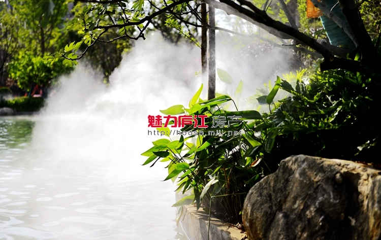 魅力庐江网实拍