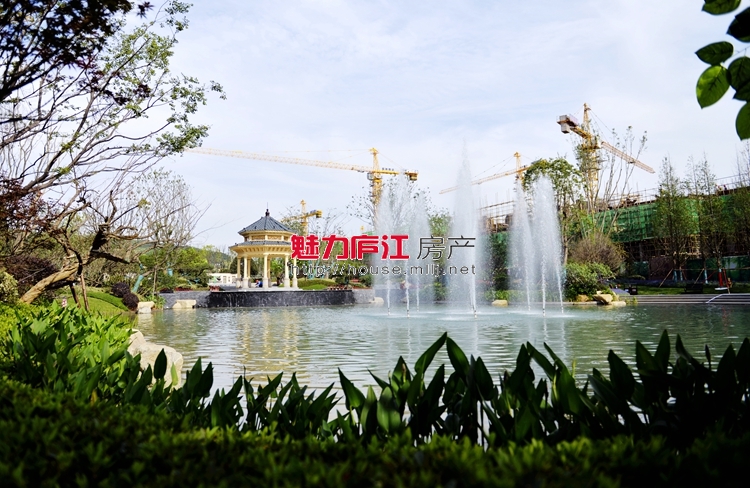 魅力庐江网实拍