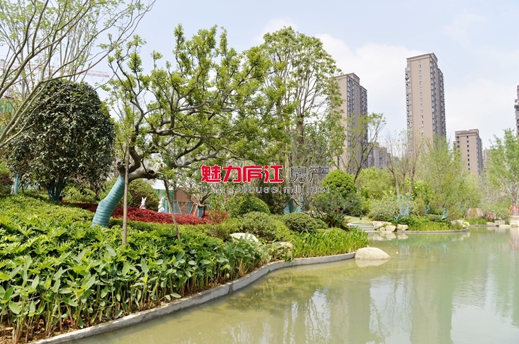 魅力庐江网实拍