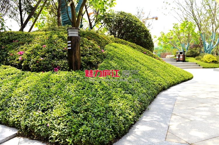 魅力庐江网实拍