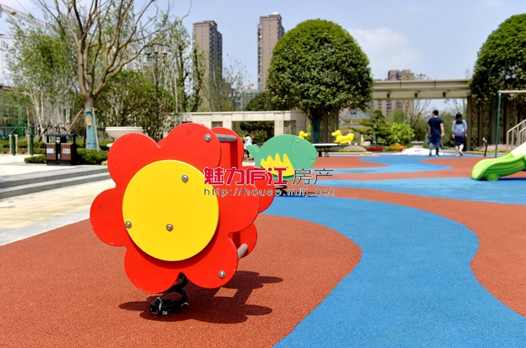 魅力庐江网实拍