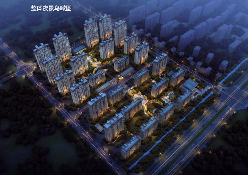 整体夜景鸟瞰图