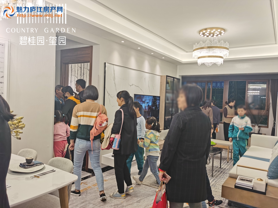 碧桂园&middot;玺园实景图