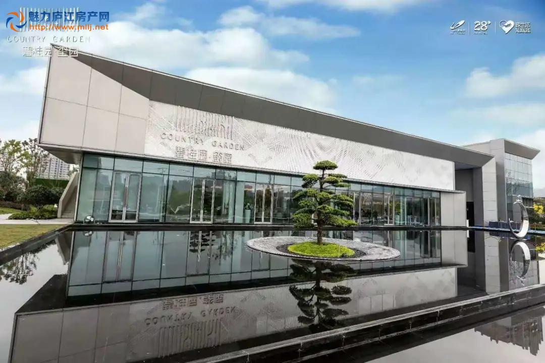 碧桂园&middot;玺园实景图